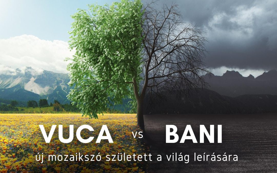 VUCA vs BANI – új mozaikszó született a világ leírására